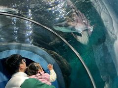 -苏州海洋馆