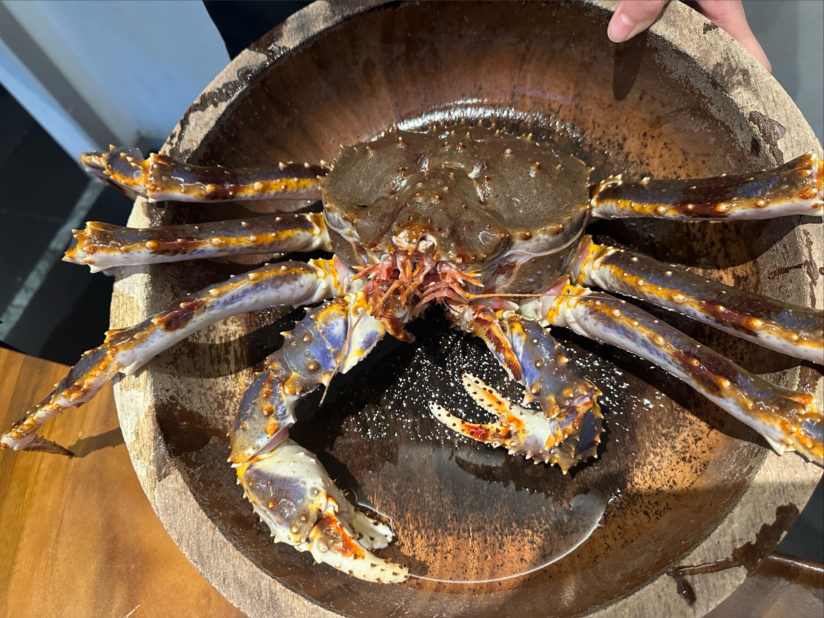 帝王蟹真的会上瘾