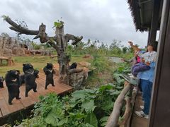 -海南热带野生动植物园