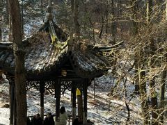 -四明山国家森林公园