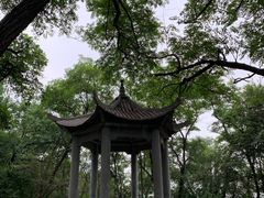 -高尔山公园