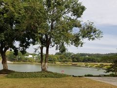 -东莞植物园