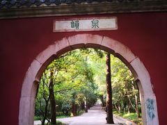 -灵谷景区