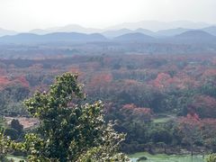 -海南霸王岭国家森林公园