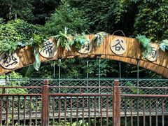 -西双版纳原始森林公园