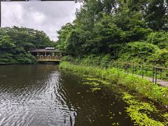 -济州森林小火车生态公园