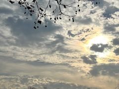 -宜兴龙背山森林公园