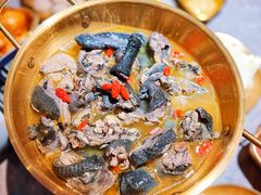 -Darling Queen·Mini·Live·House