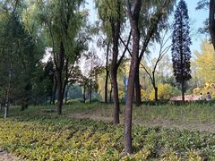 -森林公园(尖草坪区)