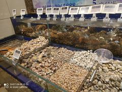 水产区-高佳庄·舟山海鲜(海景旗舰店)