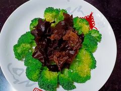 -田螺阿姨自营月嫂·育儿嫂(高新店)