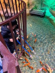 -酷嗒动物文化乐园(cutezoo西溪乐天城店)