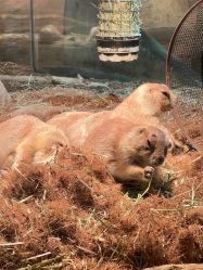 -Zoolung Zoolung动物主题公园(海信广场店)