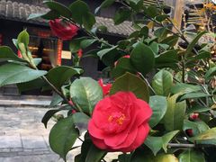 -烟水渔庄餐厅(西溪湿地店)