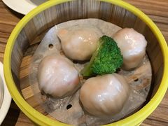 -粤港餐厅(禹州商业广场店)