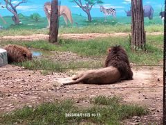 -秦皇岛野生动物园