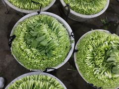 -江杨农产品批发市场