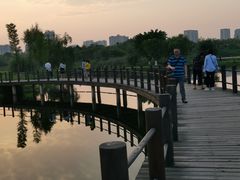 -眉山湿地公园(东坡区)