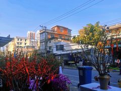 -溪岸路花鸟市场