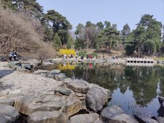 -北京西山国家森林公园