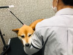 -宠物家(角门东店)