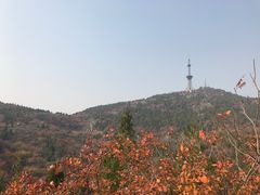 -府君山公园