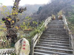 -牛背梁国家森林公园