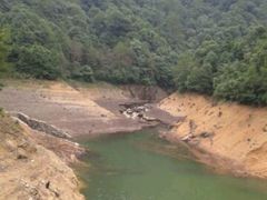 -祁门牯牛降观音堂风景区