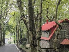 -莫干山风景区