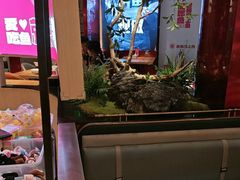 -老板恋上鱼(恒隆广场店)