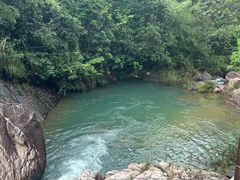 -广州白江湖森林公园