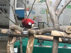 -哈尔滨北方森林动物园