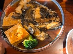 -大吉鲜鱼料理自慢(维也纳大厦店)