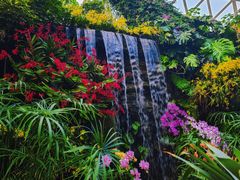 -上海辰山植物园