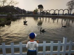 -鹅湖玫瑰文化园