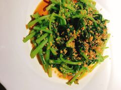 白灼茼蒿-张福记(陇海中路店)