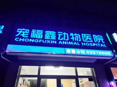 -宠福鑫康馨动物医院·骨科·眼科