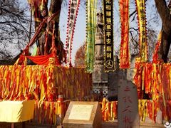 -大槐树寻根祭祖园