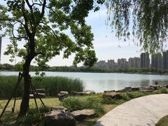 -南翔镇银翔湖公园