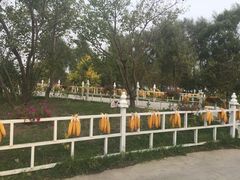 -关东文化园