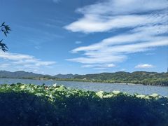 -湖畔居茶楼(湖滨店)