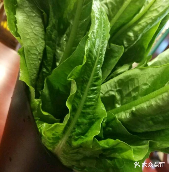 高興壹鍋 潮汕鮮牛肉火鍋油麥菜圖片