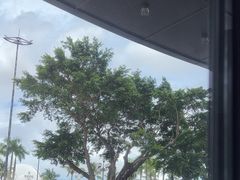 -野狸岛