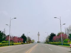 -日照灯塔风景区