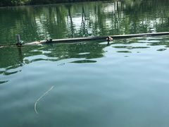 -西湖外事游船(花港观鱼码头)