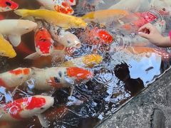 -观音桥步行街