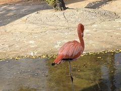 -鄂尔多斯野生动物园