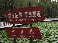 -巴山一绝烤全羊(三圣乡刘家花园店)