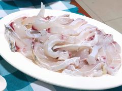 脆鲩鱼腩-中山脆肉鲩(新圳东路店)