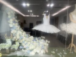 -艾薇芭蕾艺术中心